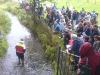 The finishing line of the Duck Race 2006